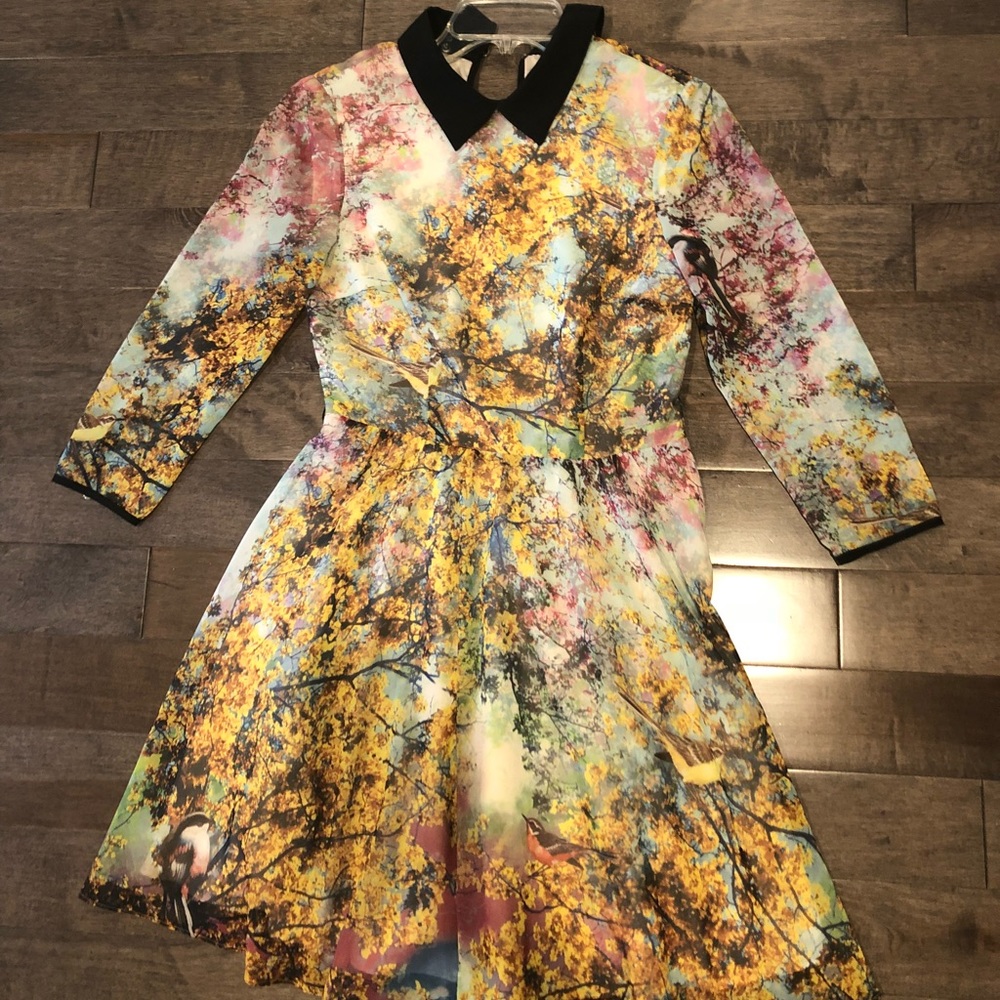 Ted Baker dress